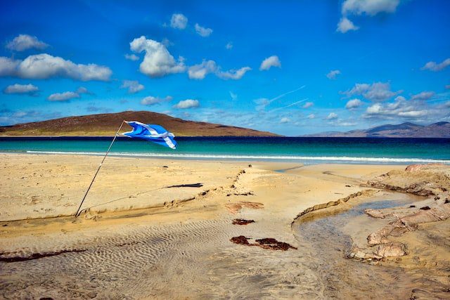 Οι καλύτερες παραλίες της Σκωτίας προσφέρουν παρακολούθηση άγριας ζωής