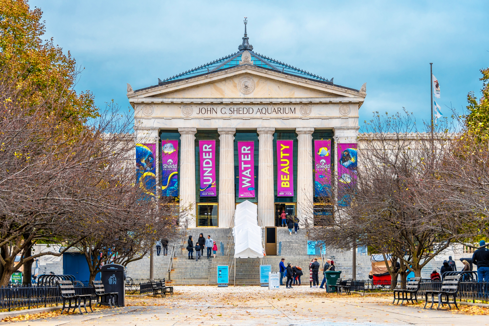 As an image for a roundup of the best places to visit in Chicago, an exterior photo of the entrance to the Shedd Aquarium is seen in November with leaves on the walkway