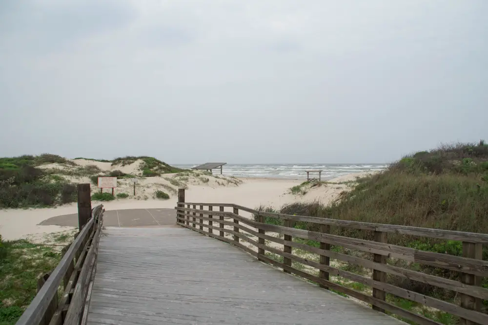 Padre Island National Seashore in Corpus Christi is one of the best beaches in Texas, shown with wild sand dunes and seagrass on a cloudy day