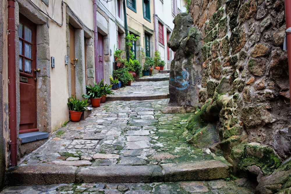 Ένας άδειος, στενός πλακόστρωτος δρόμος στην Παλιά Πόλη της Ριμπέιρα με βρύα και φυτά που καλύπτουν τους τοίχους κατά τη διάρκεια της λιγότερο πολυάσχολης περιόδου για να επισκεφθείτε το Πόρτο
