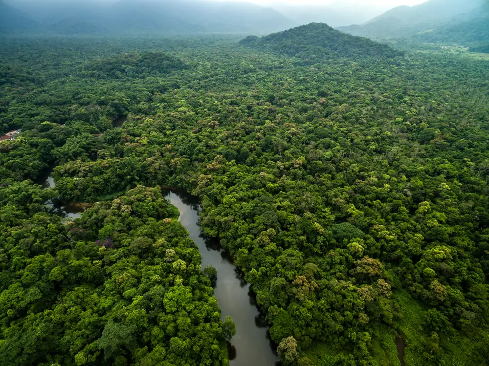 Aerial view of rainforest canopy with the river winding through it on a cloudy day, indicating the cheapest time to visit Gabon