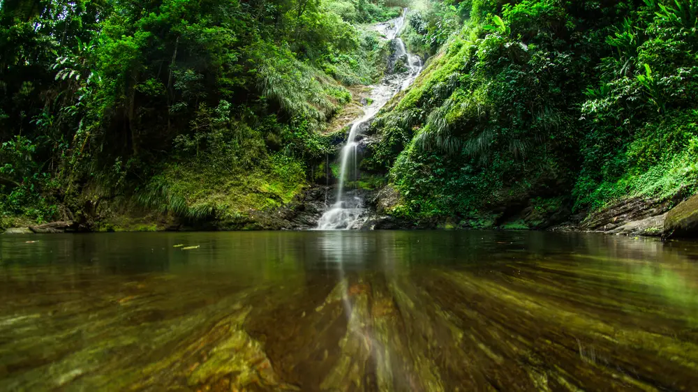 Rincon Waterfall flows into a pool through the rainforest during the overall best time to visit Trinidad from December to April