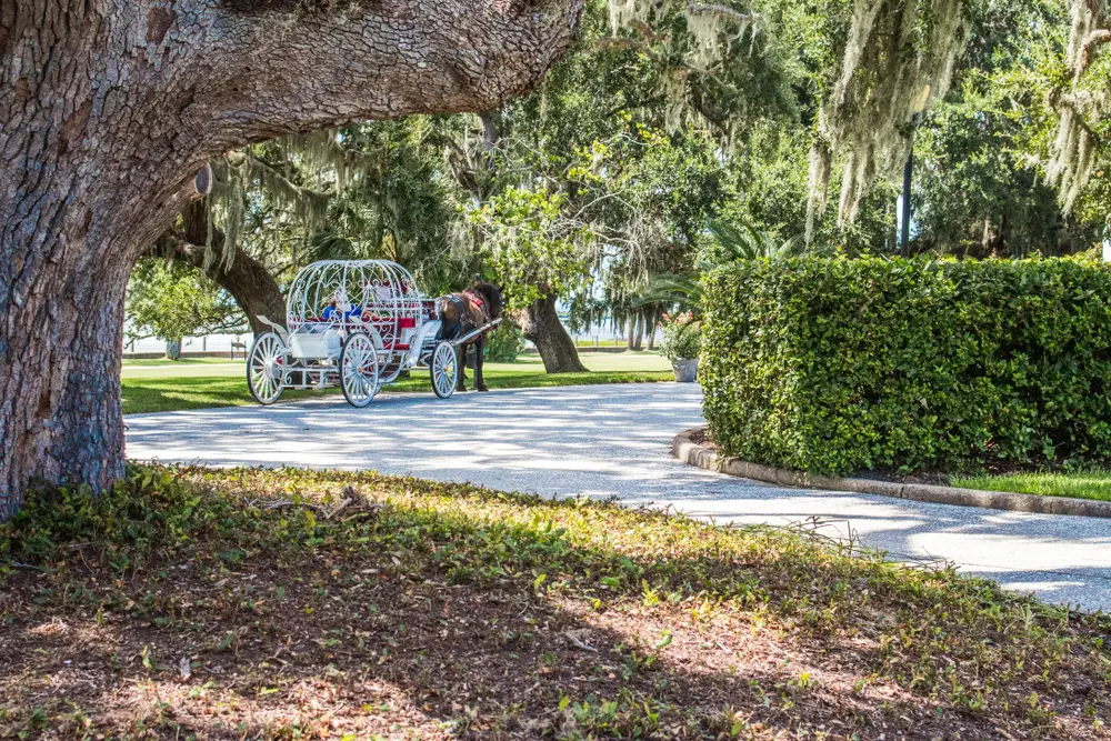 Ball-shaped horse and carriage pictured being pulled through a green garden during the overall best time to go to Jekyll Island