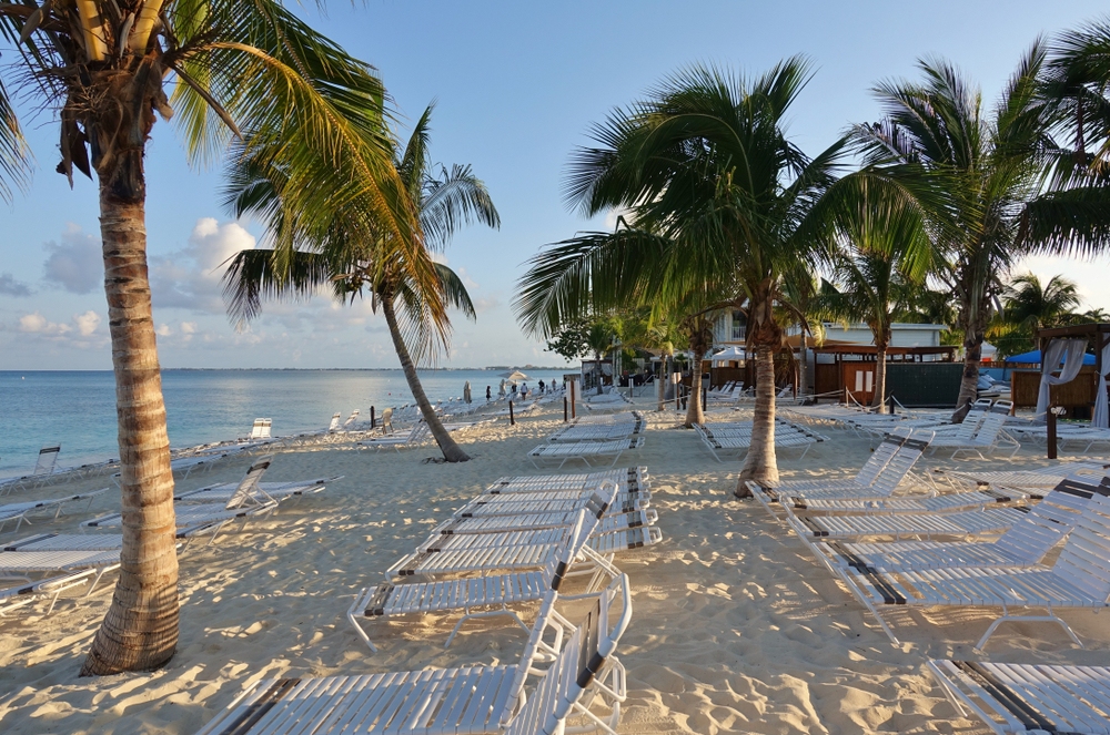 Photo of Seven Mile Beach pictured with palm trees on either side of the white metal chairs
