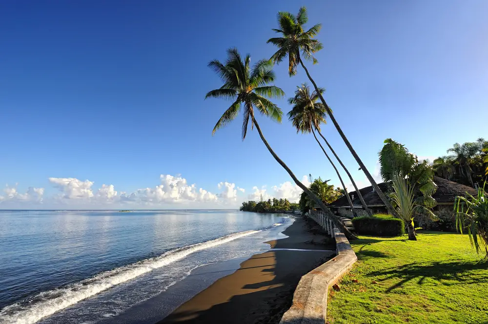 Picturesque of palm trees growing diagonal and jutting up from a yard above a jetty as a featured image for a piece titled Is Tahiti Safe to Visit