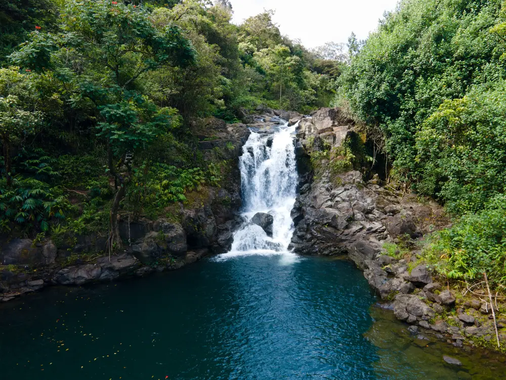 Waterfall in a bamboo forest on the Road to Hana in Maui, Hawaii, listed as one of the best US vacations to consider