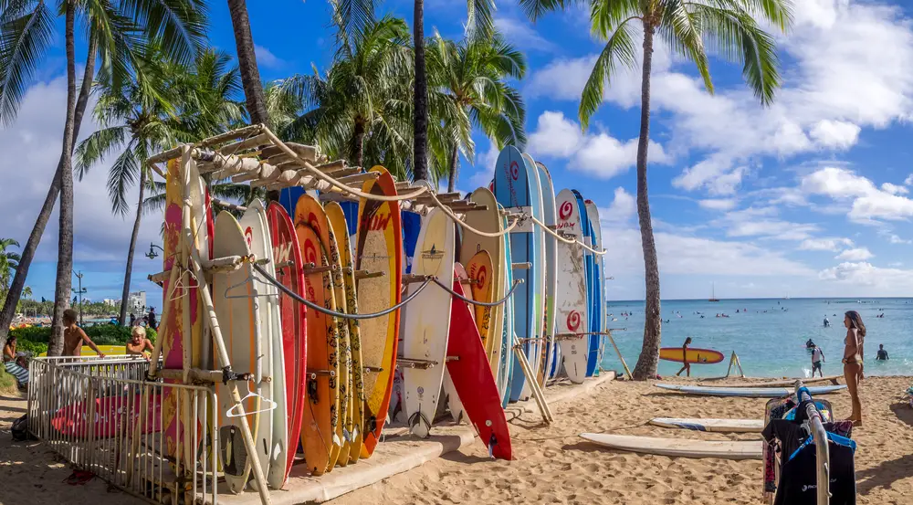 Surf boards stacked vertically under palm trees on Waikiki Beach