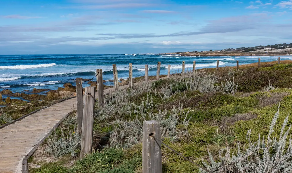 Boardwalk along the coastal sand dunes in Monterey