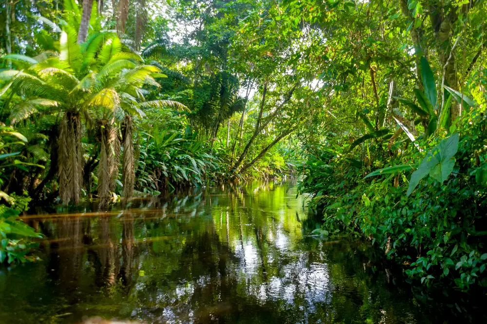 The Amazon rainforest and river winding through Brazil and Ecuador makes one of the top bucket list travel ideas for adventurous travelers