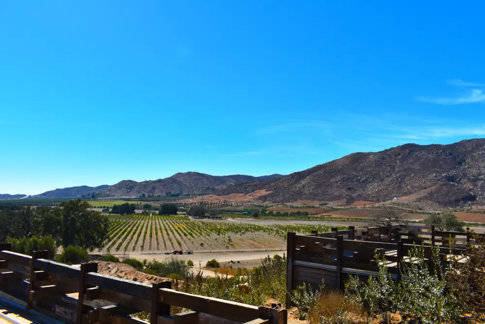 Gorgeous winery pictured under a vibrant blue sky in Guadalupe, one of the best areas to visit in Baja California