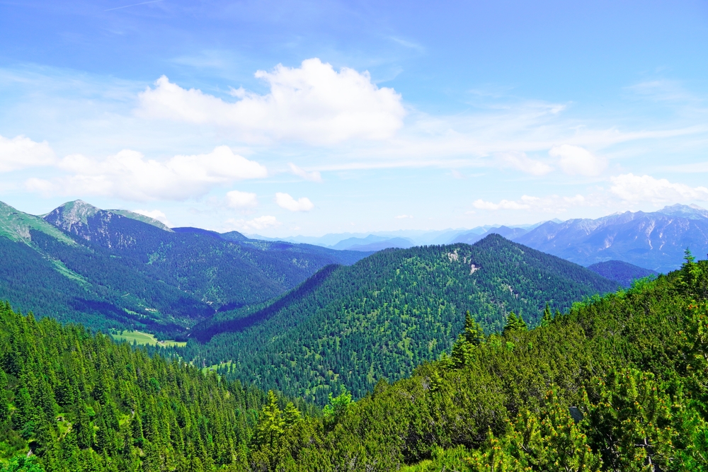 Wank mountain peaks shown in summer covered in evergreen trees for a list of Germany's best mountains