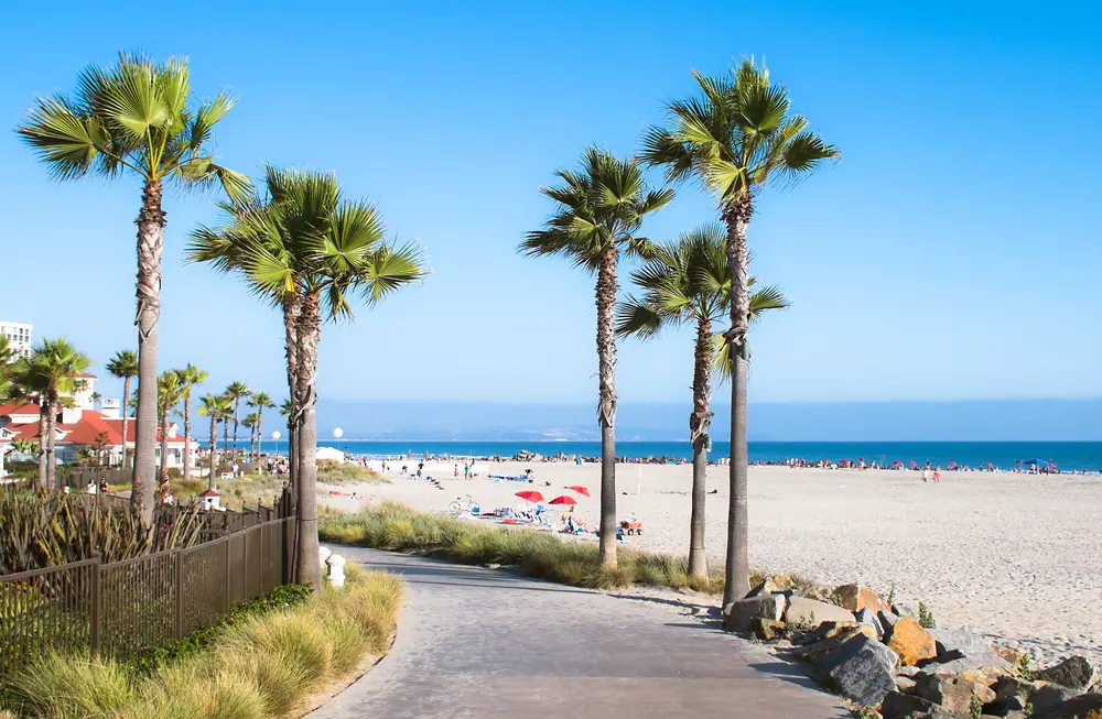 View of San Diego beach with palm trees and sidewalk leading next to the sand on a clear day for an article outlining the best spring break spots in the US