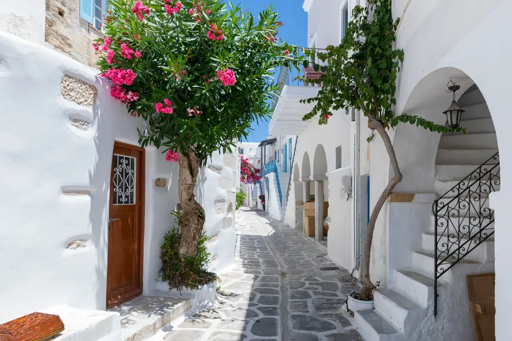 Little white buildings with brown wooden doors pictured in Parikia, one of the best places to stay on a trip to Paros
