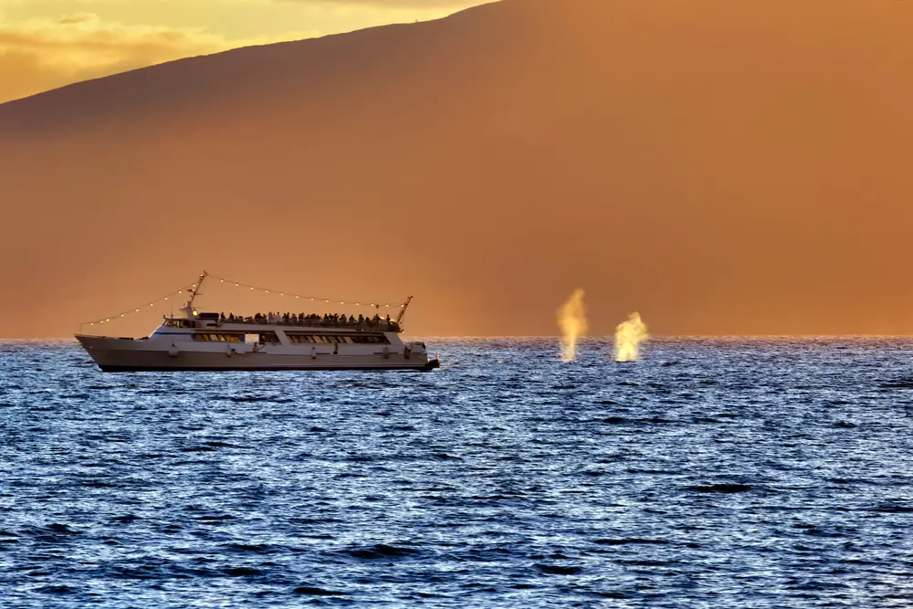 Dusk view of a dinner cruise pictured from afar with the picturesque scenery of Kona in the background