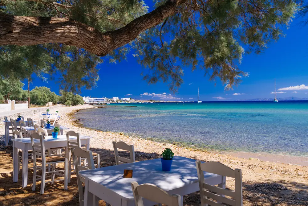 Cute little tavern on the rocky beach under olive tree shade on Paros, pictured during the best time to visit the island