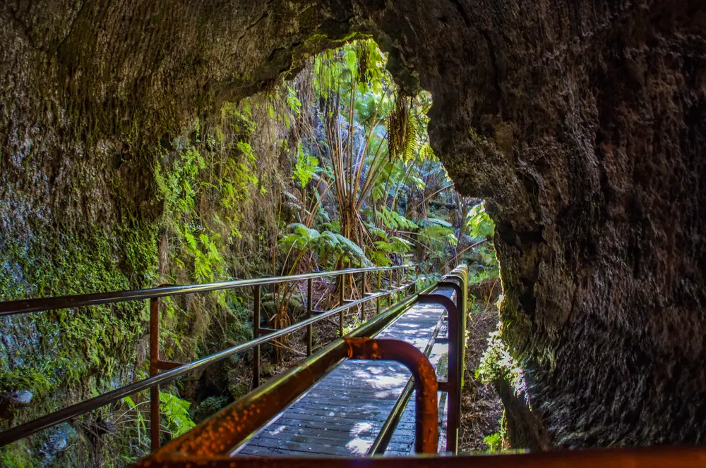 Entrance to the stunning Thurston Lava Tube, one of the best things to do in Kona