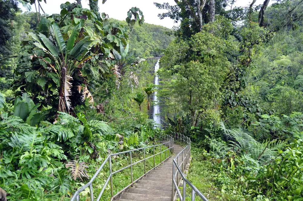 For a piece on the best things to do on the Big Island, a metal walkway and stairs leading down the the powerful and breathtaking Akaka Falls