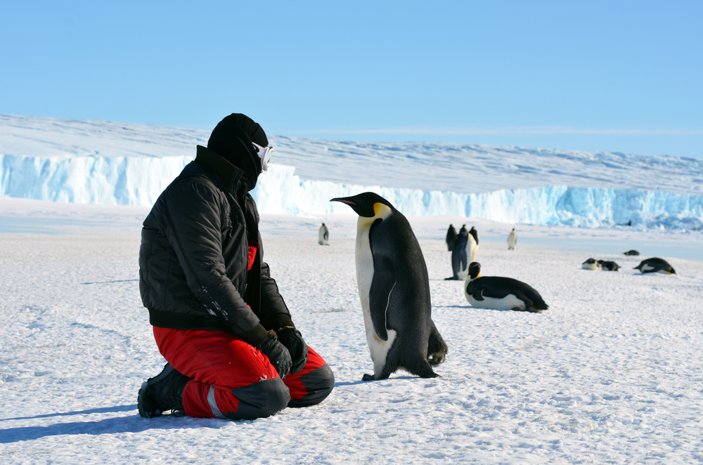 Άνδρας που περνάει από κοντά με έναν πιγκουίνο σε έναν παγετώνα για έναν οδηγό για το μέσο κόστος ταξιδιού στην Ανταρκτική