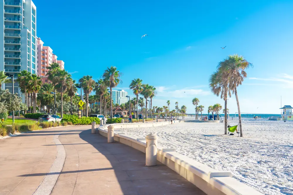 Picturesque scene in Florida featuring Clearwater's white-sand beach with palm trees lining the walkway