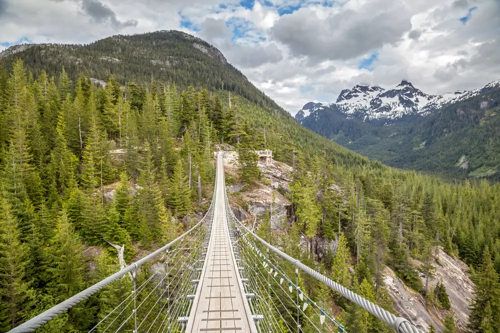 Lone suspension bridge over a pine tree covered valley, as seen in the early spring, the least busy time to visit British Columbia