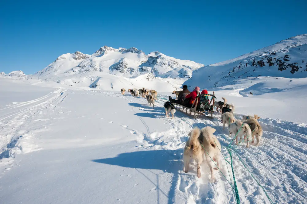 As a photo for a piece on whether Greenland is safe to visit, a POV photo of sled dogs pulling a sled in Tasiilaq