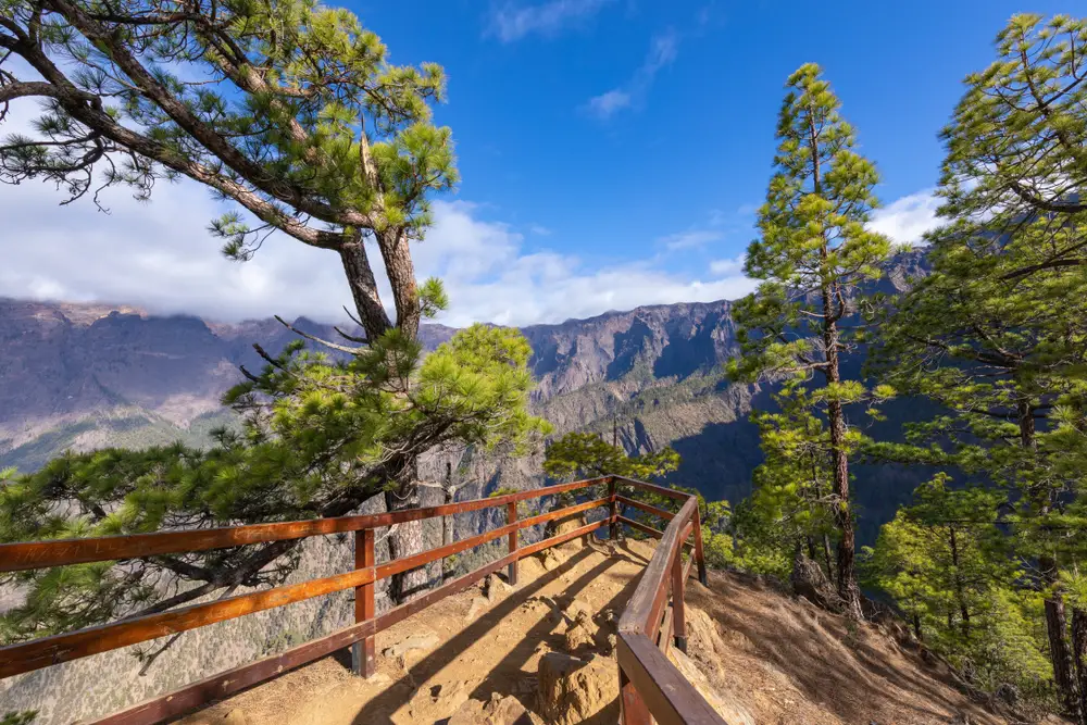 Pine forest at Caldera de Taburiente National Park on La Palma, pictured for a guide to where to stay in the Canary Islands