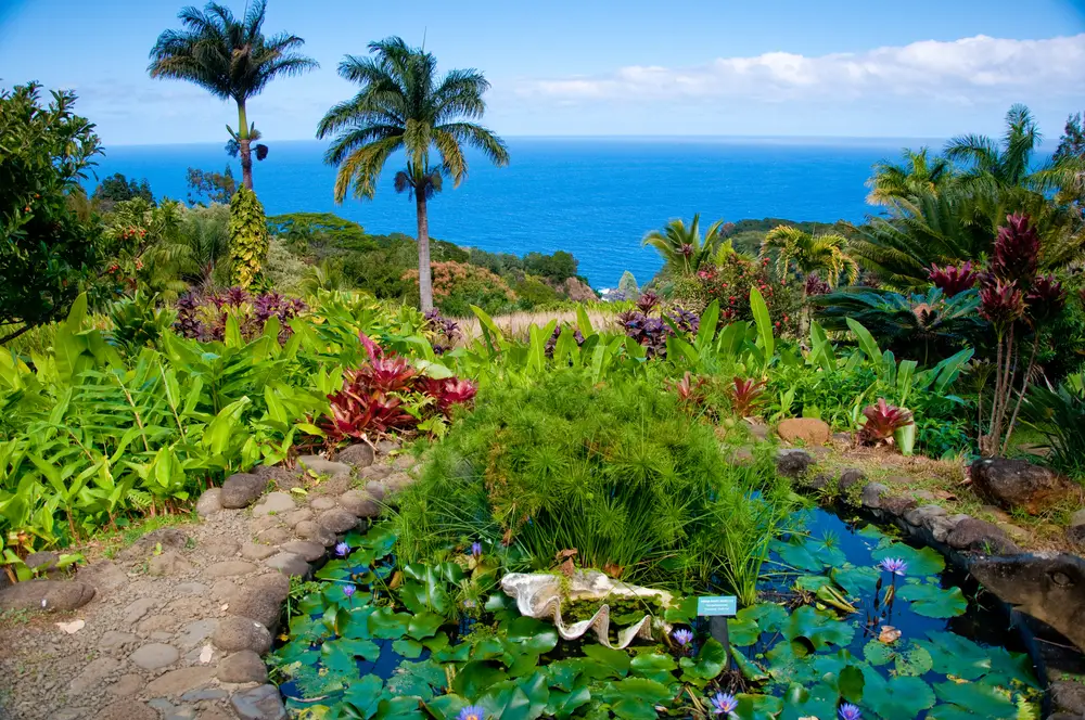 The Garden of Eden in Maui, Hawaii overlooking the ocean earns the title of being one of the best places to visit in the United States during wintertime with its tropical beauty