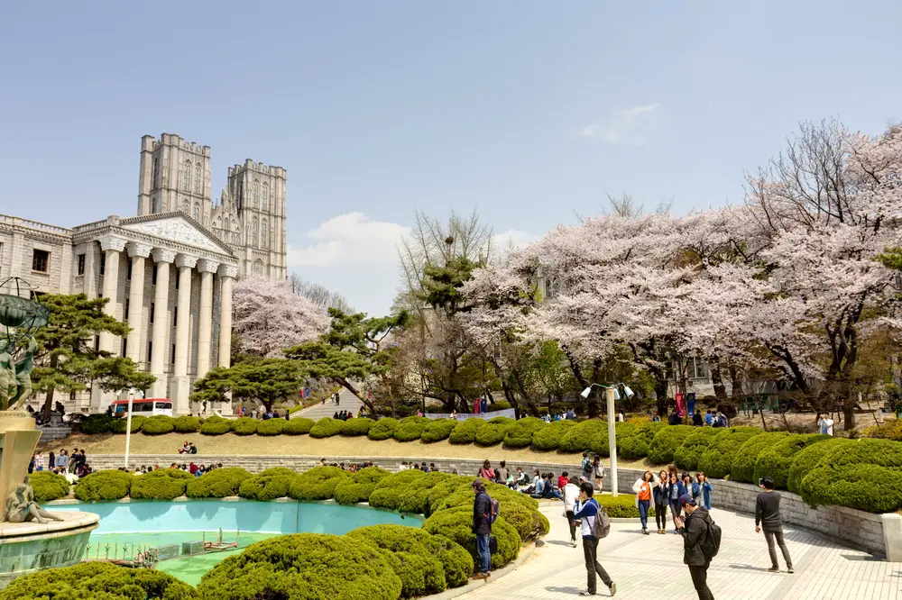 People can be seen walking on a circle with a pool and in background blooming cherry blossoms can be seen, and a Roman-like structure. 