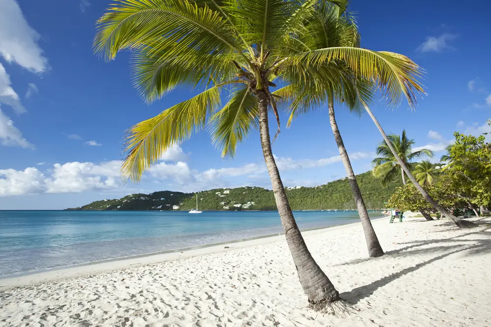 Photo of palm trees on Magens Beach pictured with its white sand by the teal blue water of the ocean under blue sky for a guide titled Is St. Thomas Safe to Visit