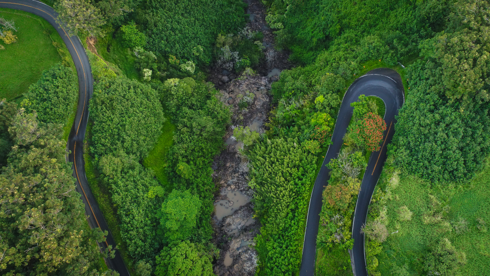 Εναέρια άποψη ενός ελικοειδή αυτοκινητόδρομου με καταπράσινα δέντρα και στις δύο πλευρές.