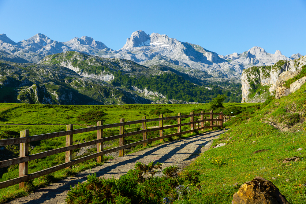 Picos de Europa in Spain shown with mountains and wooden fence during summer with green grass for a guide contrasting Spain vs Portugal