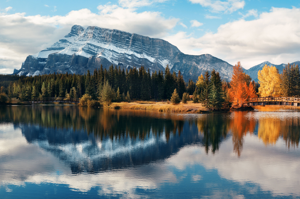 The start of fall where two trees can be seen changing color and an icy mountain can be seen in background.