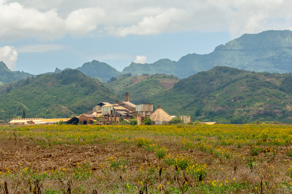 Εγκαταλελειμμένος μύλος ζάχαρης και φυτεία στο Καουάι δείχνουν πώς άλλαξε η βιομηχανία της Χαβάης από τότε που η Χαβάη έγινε πολιτεία