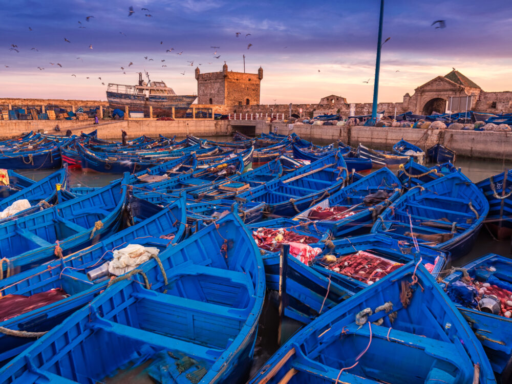 Μπλε βάρκες στο λιμάνι της Essaouira για να σας βοηθήσουν να απαντήσετε στο Is Morocco Safe
