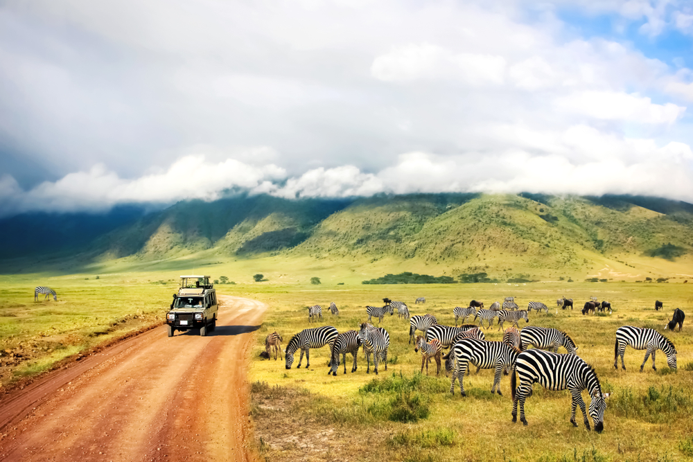 Land rover σε σαφάρι κατηφορίζοντας το δρόμο και περνώντας από ένα κοπάδι ζέβρες κάτω από ελαφρώς συννεφιασμένο αλλά γενικά γαλάζιο ουρανό κατά την καλύτερη στιγμή για να επισκεφθείτε την Τανζανία