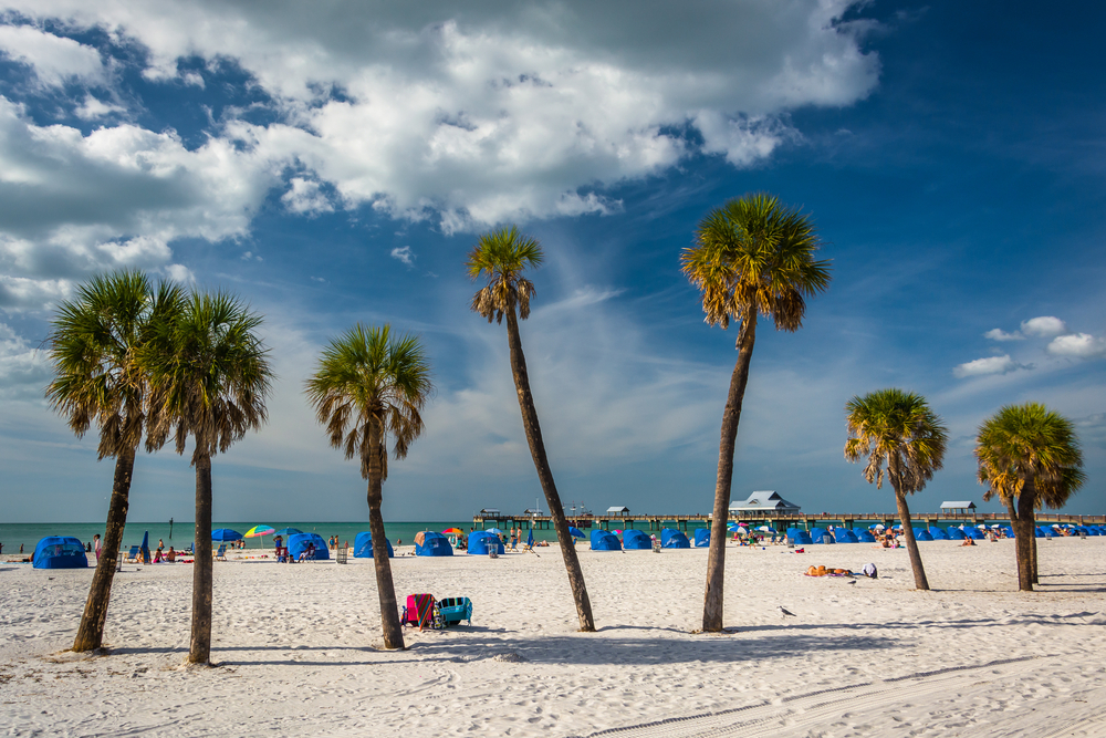 Φοίνικες αναδύονται από τη λευκή άμμο στην παραλία κάτω από το βαθύ μπλε ουρανό κατά την καλύτερη στιγμή για να επισκεφθείτε το Clearwater Florida