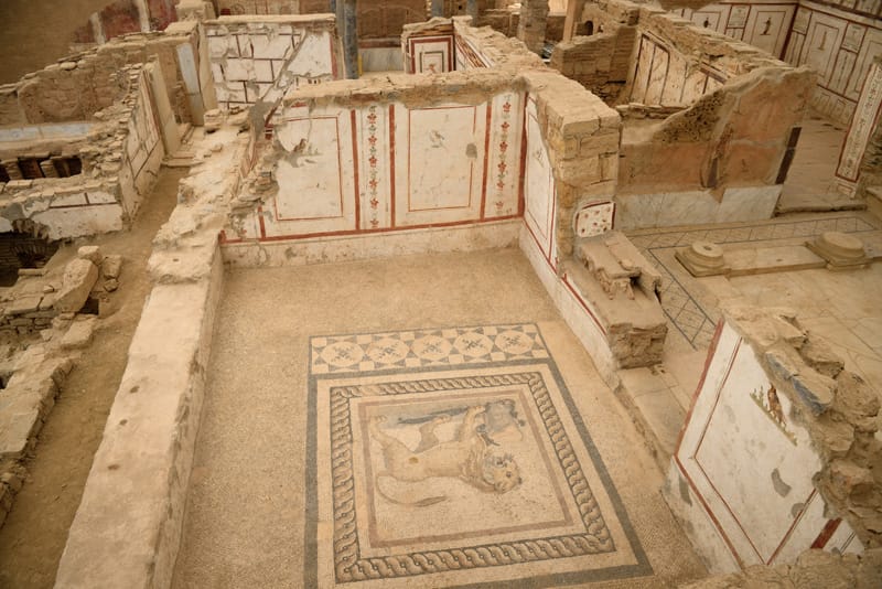 Ρωμαϊκή αναβαθμίδα domus Türkiye