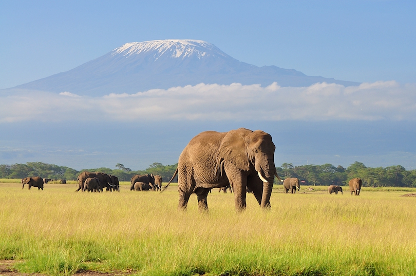 Εθνικό Πάρκο Amboseli