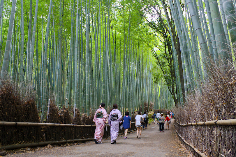 Δάσος μπαμπού Arashiyama