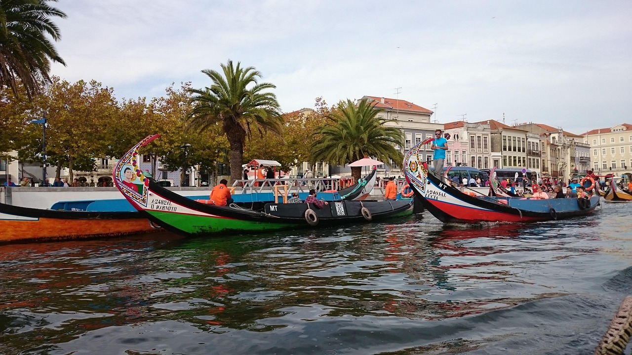 portugal, aveiro, europe, travel, outdoor, traditional, water, boats, city, old town, historical, river, palm trees, town centre, aveiro, nature, aveiro, aveiro, aveiro, aveiro